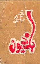 Novel-Book-Review-TheAsiaN