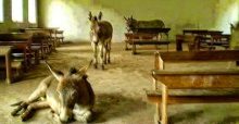 File photo- Schools-Sindh