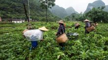China-Farming