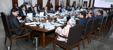 Sindh Cabinet-File Photo