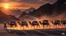 Trade Caravans-Sindhi-AI - The AsiaN