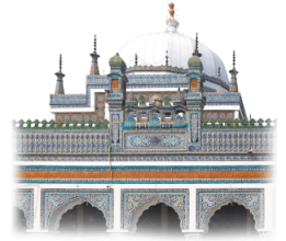 rozo-small-image