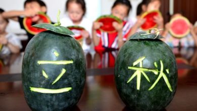 history-of-watermelons-in-china-1682543030