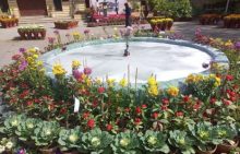 KPC-Flower Show-The AsiaN