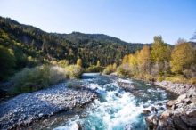 Blue-Creek–Cindy-Diaz-1-scaled-1