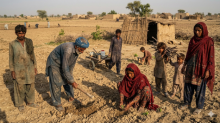 Gemini_Generated_Image_peasants-TheasiaN-0