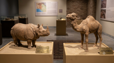 Gemini_Generated_Image_Mohennjo-Daro-Statues-TheAsiaN
