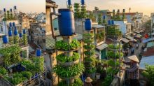 Gemini_Generated_Image_Verical Farming-The asiaN