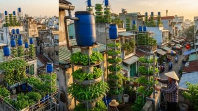 Gemini_Generated_Image_Verical Farming-The asiaN