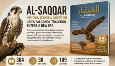 Saqqar (1)